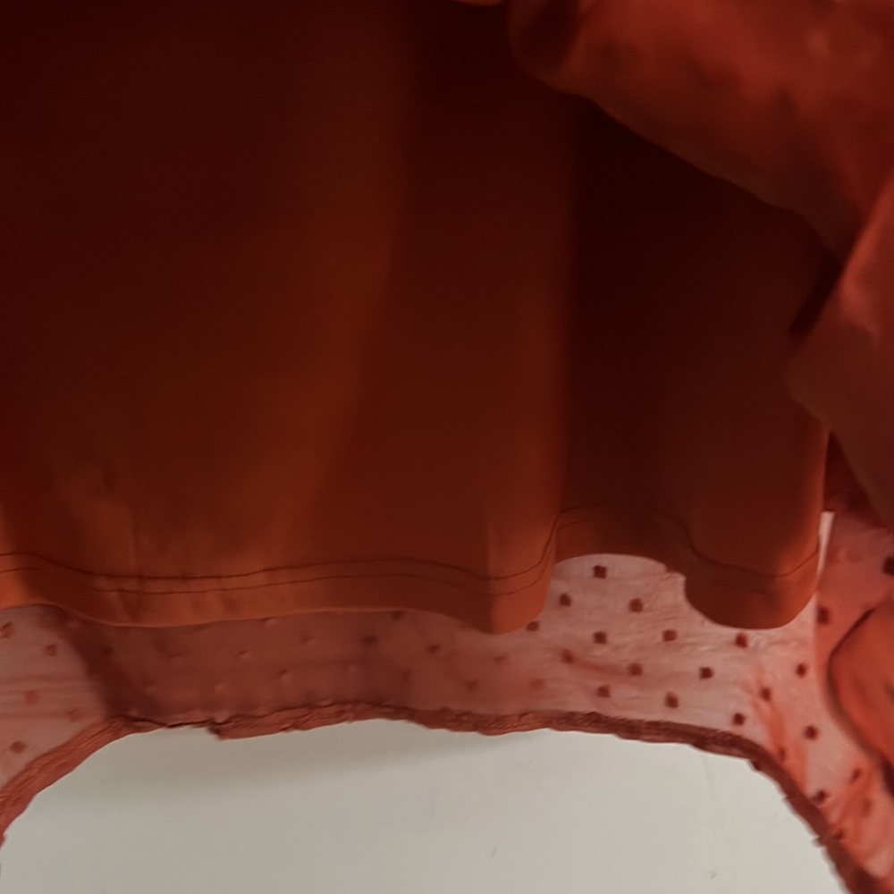 Long Sleeve Burnt Orange Dress - Picture 5 of 7